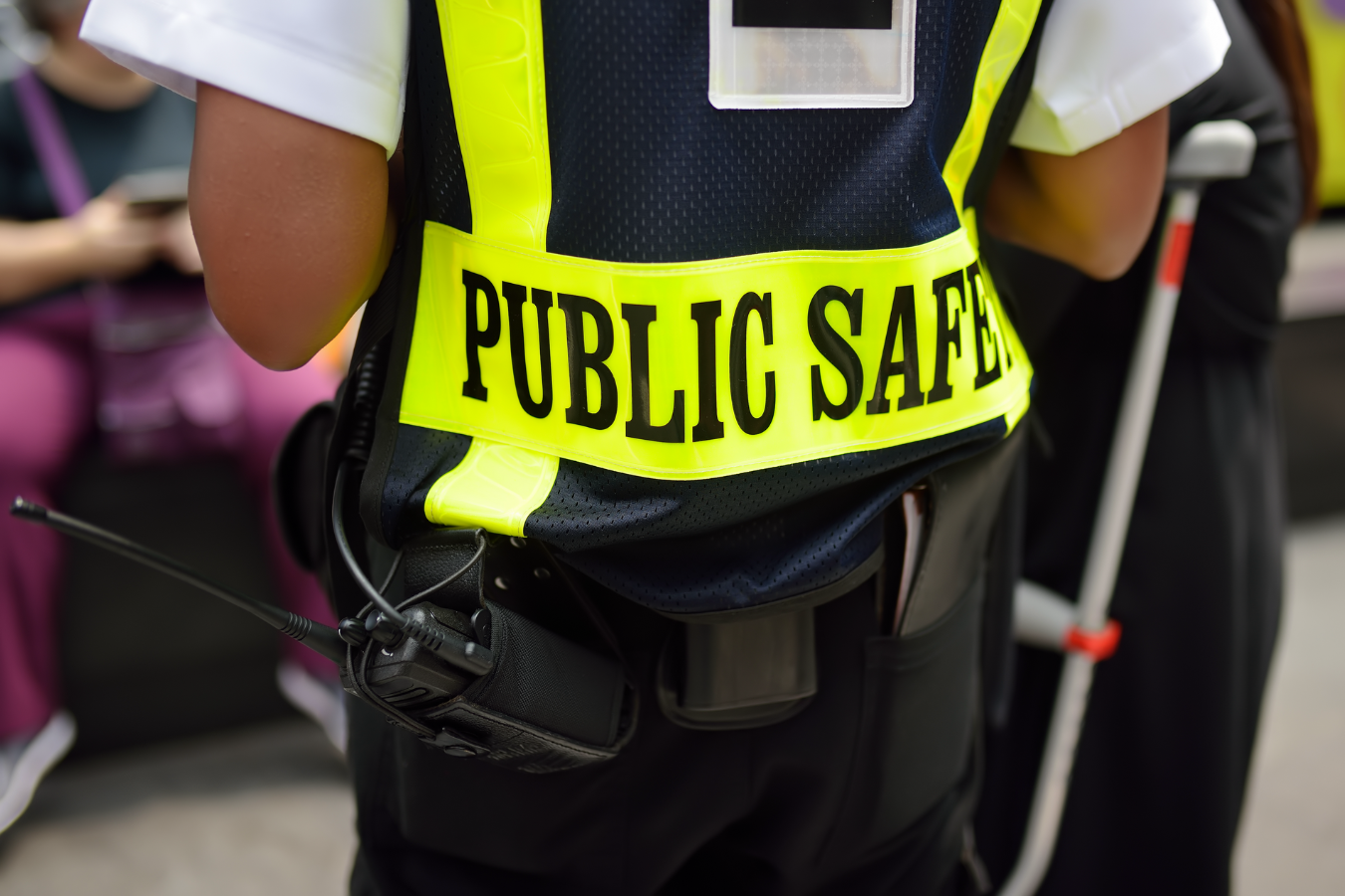 public safety